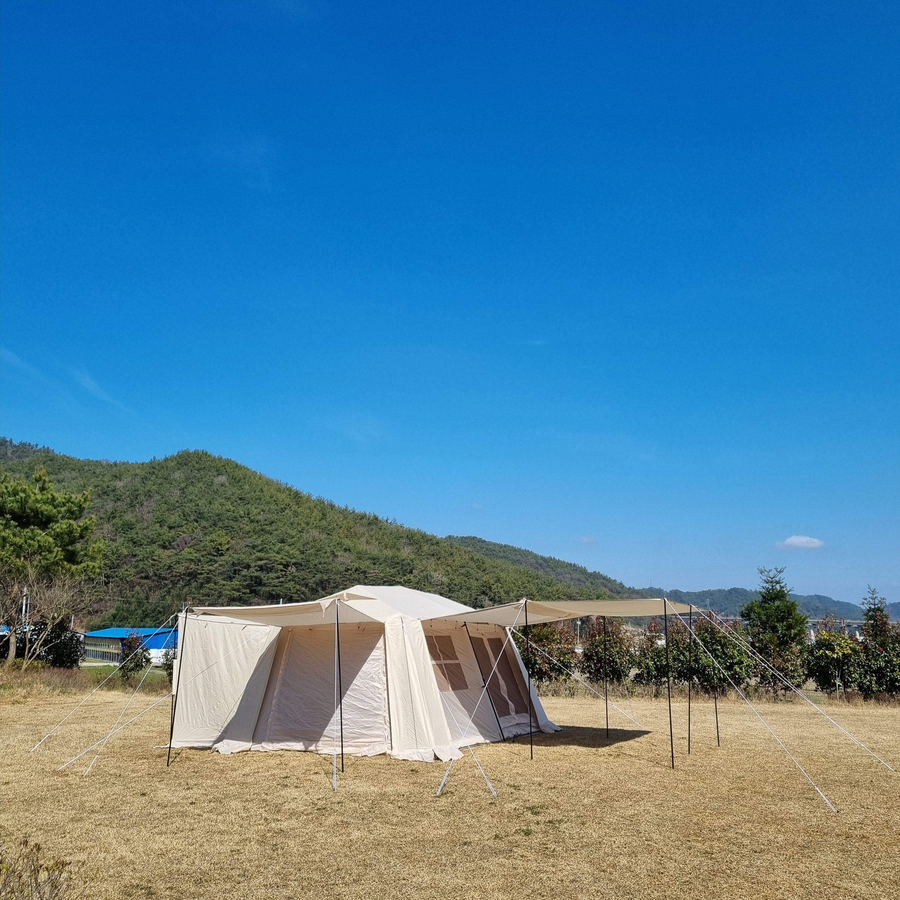 오패캐 420 본체 쉘터형 텐트형 아이보리 원터치 리빙쉘 사계절 가족 자동 오토