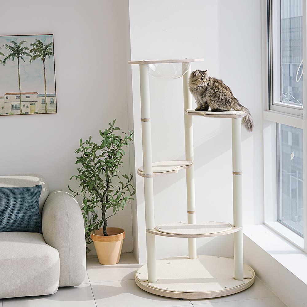 가또블랑코 루나