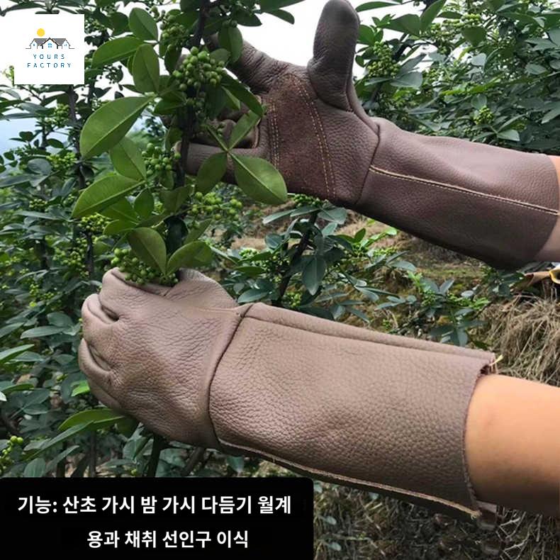 않는장갑 선인장 장갑 가시에 가지치지 찔리지 - 상품 이미지