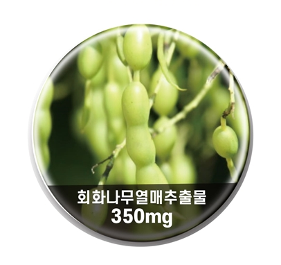 소포리코사이드 회화나무 추출물 열매 갱년기에좋은 폐경기 영양제 - 상세 이미지 2