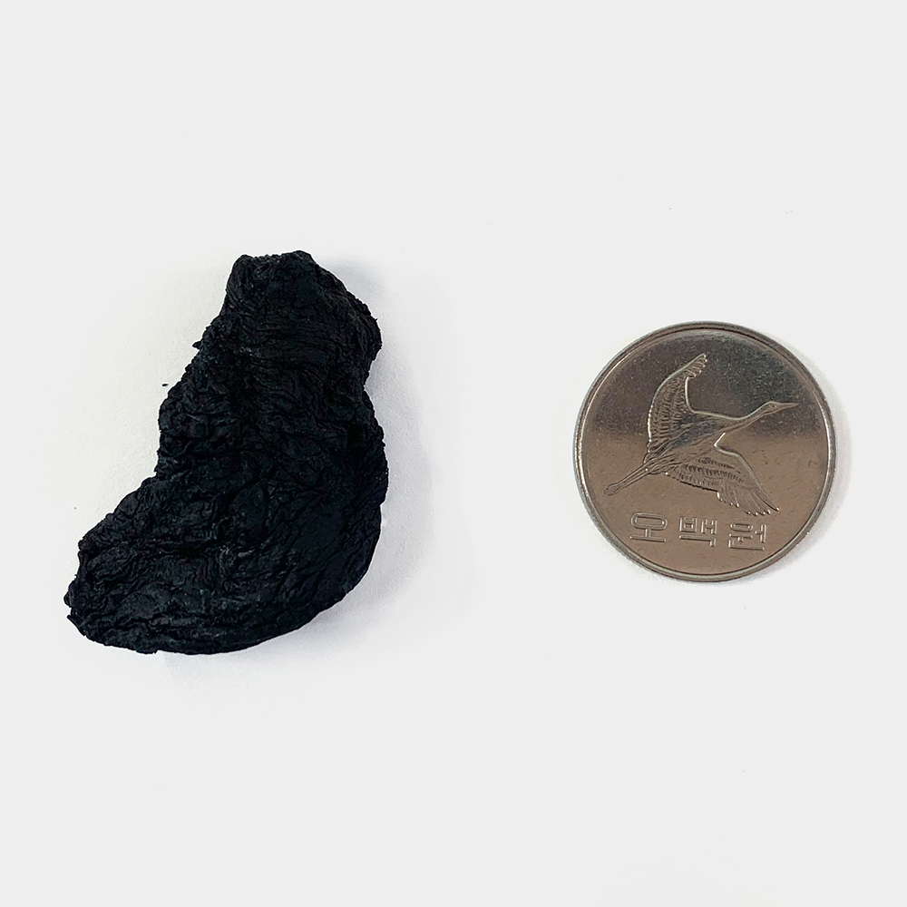 숙지황 250g 수입산 - 상세 이미지 5