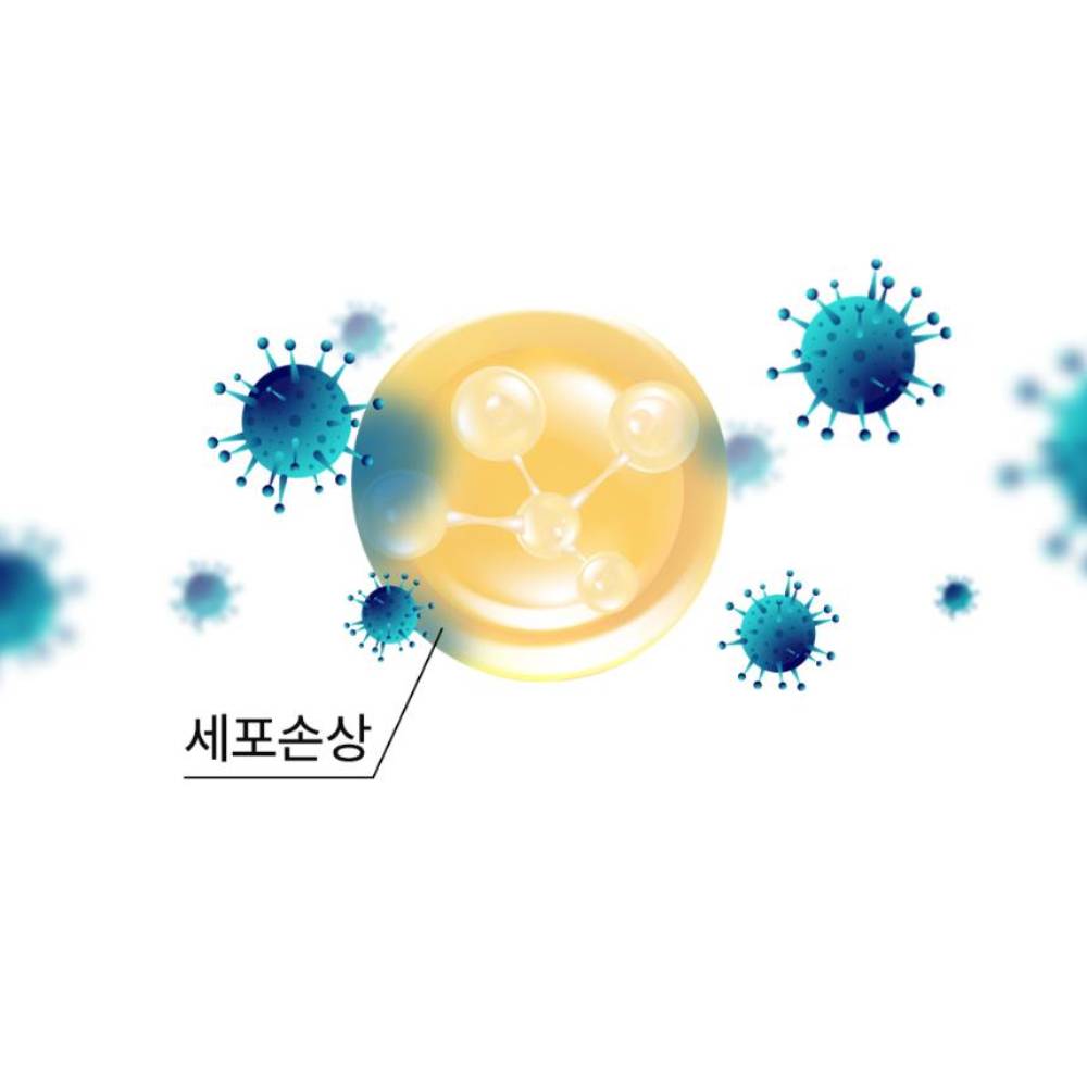 웅진헬스원 오직 비타민C 퓨어 550mg x 60정 (3개월분) - 상세 이미지 3