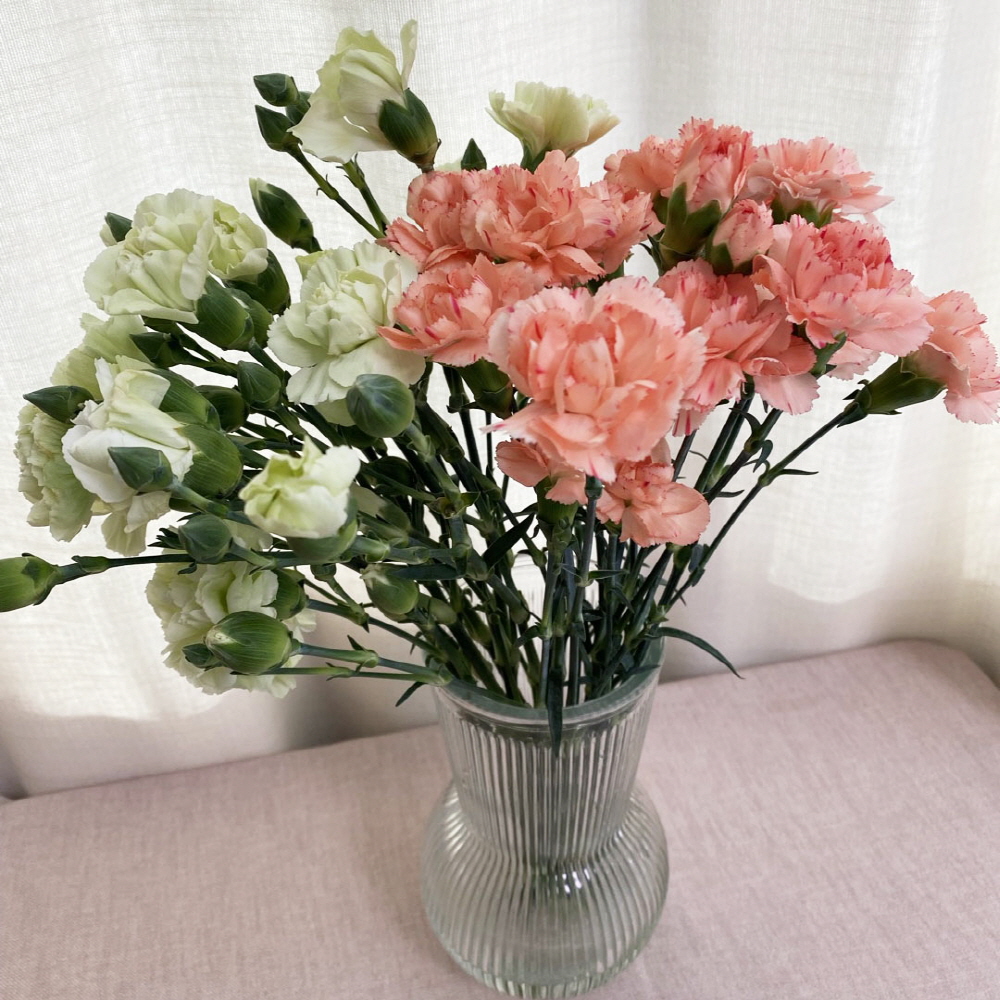 생화 스프레이 카네이션 반단 어버이날 스승의날 꽃배달싼곳