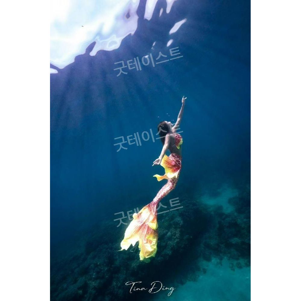 아쿠아리움 머메이드 인어공주 다이빙 아웃핏 슈트 빅테일 슬림핏 공연 수중촬영 프리다이빙 - 상품 이미지