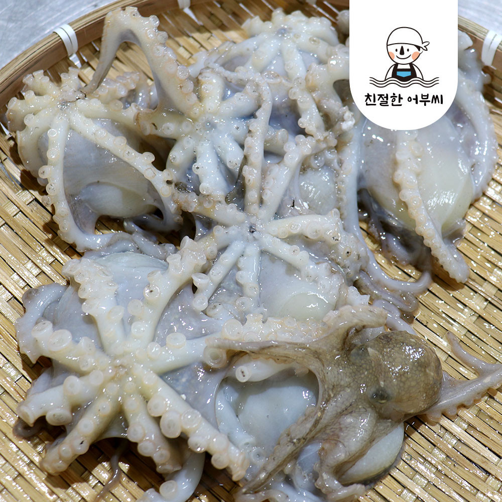 국내산 생물 활 쭈꾸미 손질 봄 냉동 알주꾸미 친절한어부씨 - 상세 이미지 5