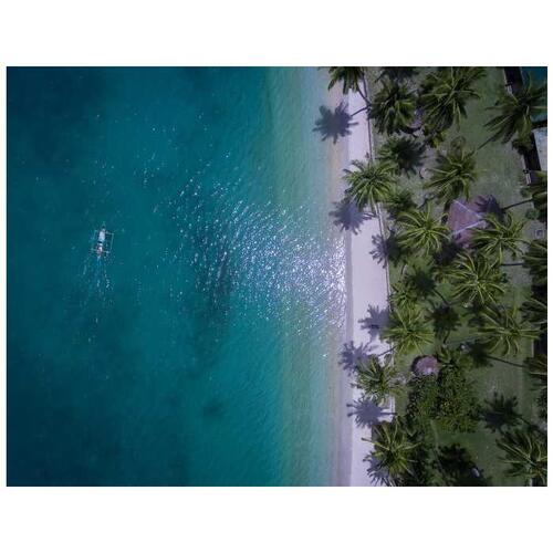 필리핀 팔라완 푸에르토 프린세사 포트 바튼 점심 식사와 함께 터틀 스팟 & 산호초로 아일랜드 호핑하기