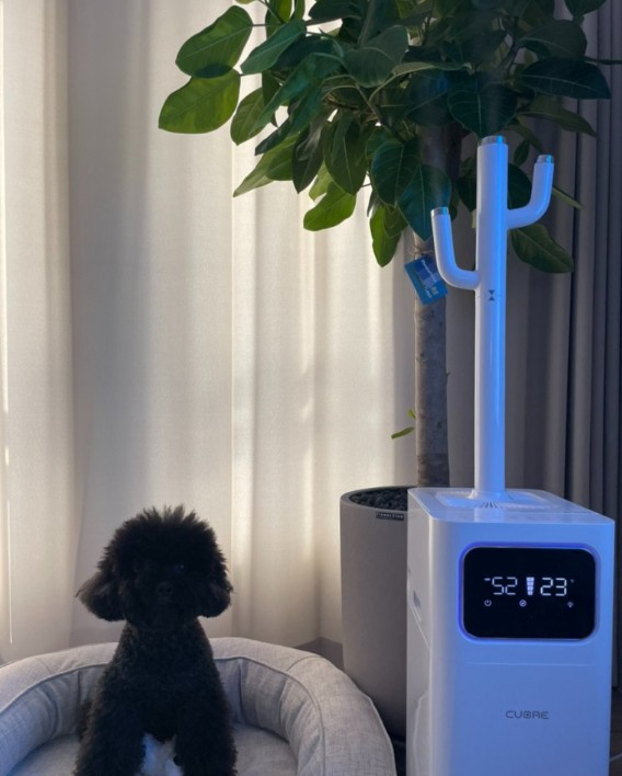 까르페 가열식 가습기 안심 인테리어 스타일리쉬 복합식 집들이선물