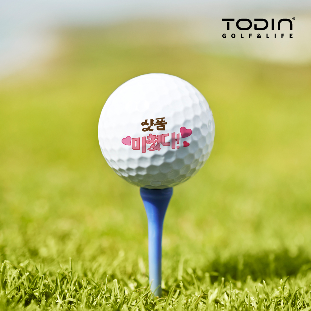 로고 인쇄 각인볼 골프공 주문제작 홀인원기념 선물 세인트나인 Q9-12알 1더즌 화이트 - 상세 이미지 5
