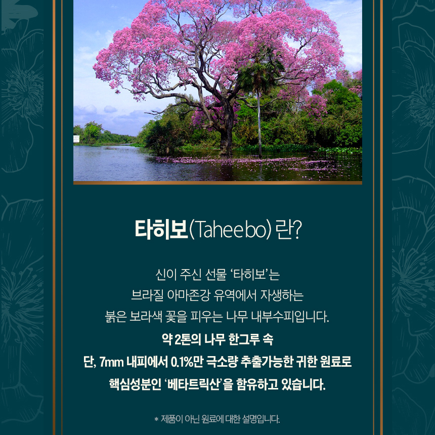 브라질 타히보 추출 분말 92% 함유 소연골 콘드로이친 정 식약처 해썹 - 상세 이미지 5