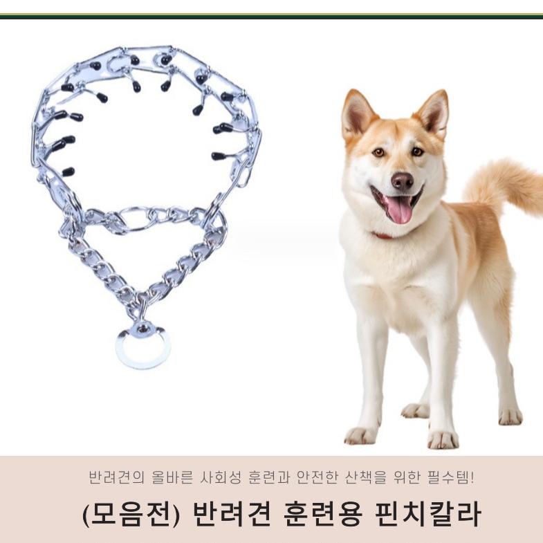 훈련용 목줄 반려견 쇠사슬목줄 개 쇠목줄 S - 상세 이미지 2