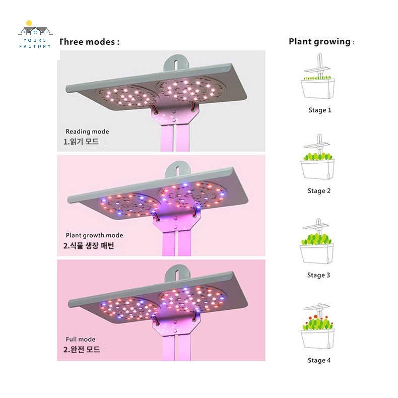 키우는 상추 거실 야채 어두운데 수경재배기 지하실 - 상세 이미지 2