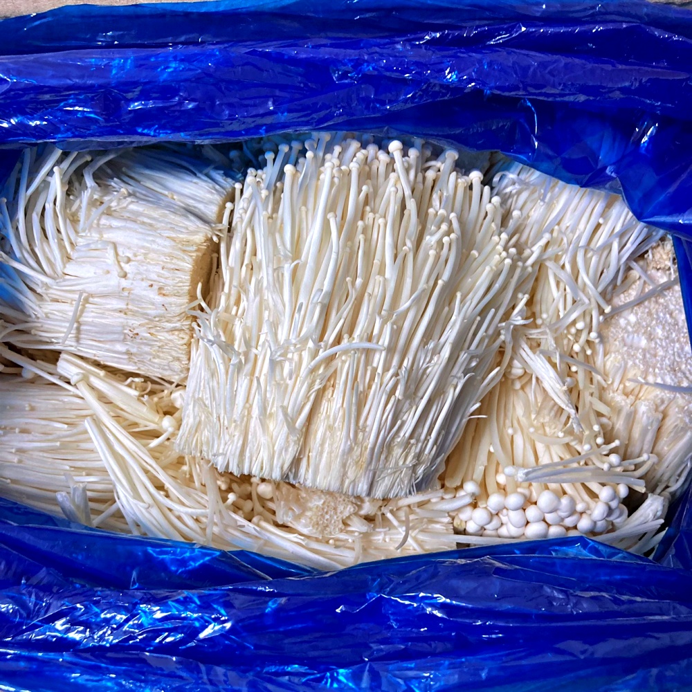 팽이버섯 2kg 4kg 8kg 벌크 1박스 국내산 - 상품 이미지