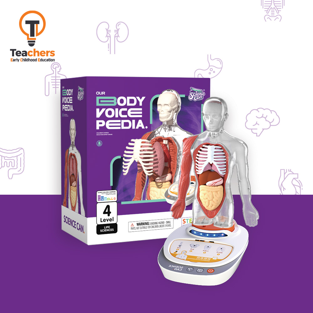 티처스 ECE 사이언스캔 생명과학 인체 장기 관찰 과학교구
