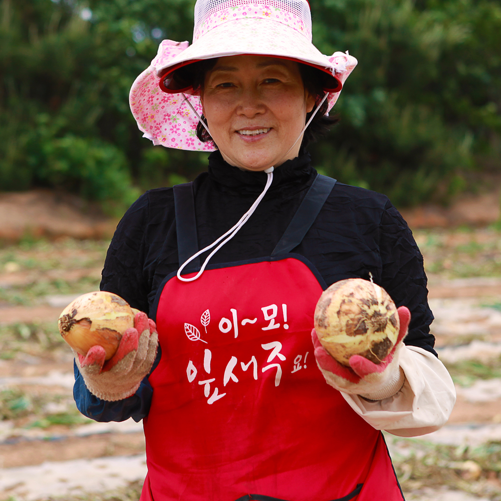 햇 양파 국내산 아삭아삭 단단한 양파 - 상품 이미지