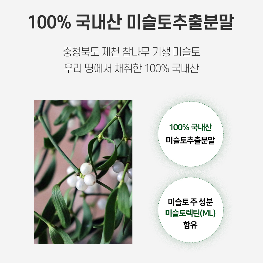 미슬토 추출물 맥스 겨우살이 국내산 100% 참나무 미슬토렉틴 ML 함유 정 - 상세 이미지 4