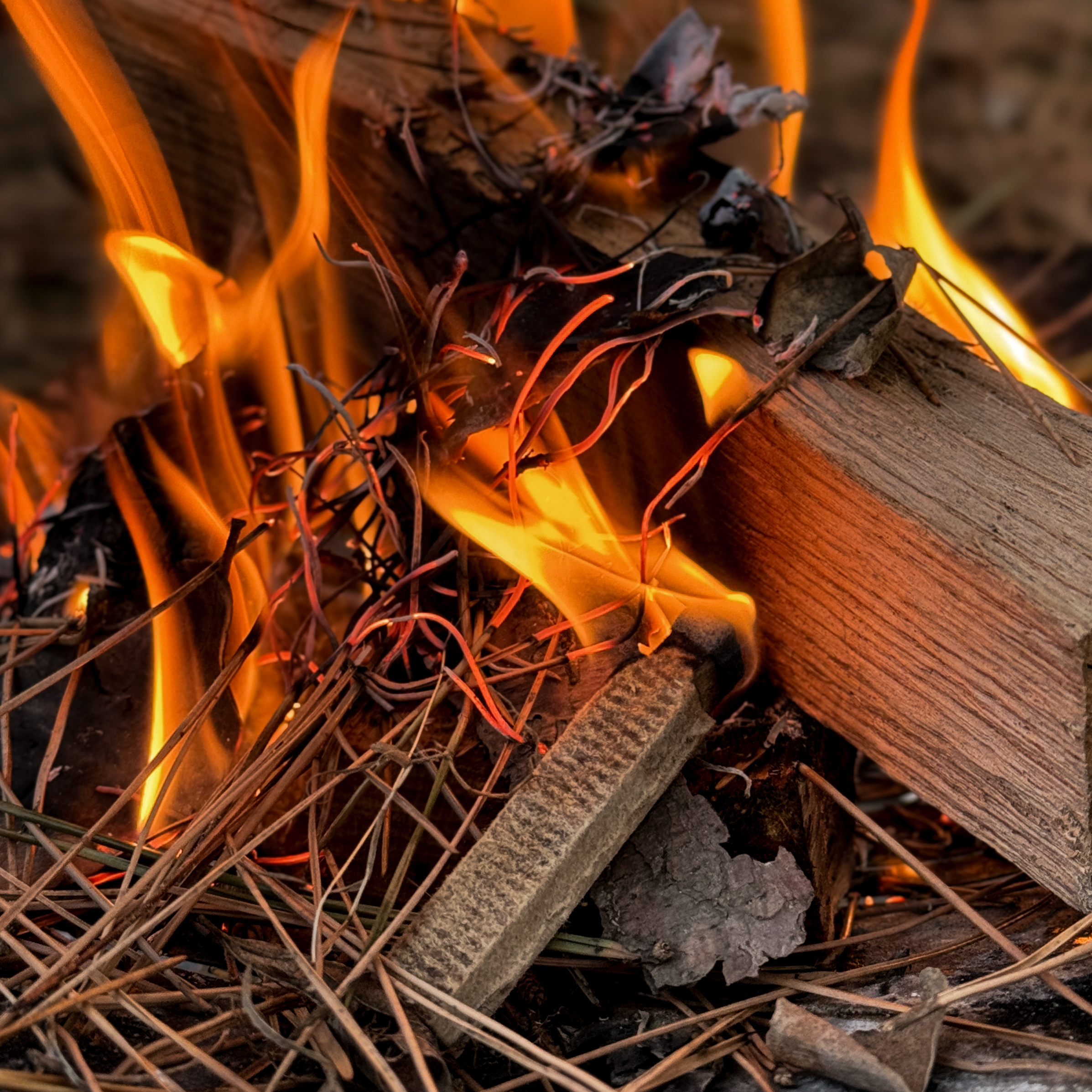 파이어라이터스 착화제 20개입 케이스 세트 캠핑 성냥 불쏘시개 장작 숯 점화제