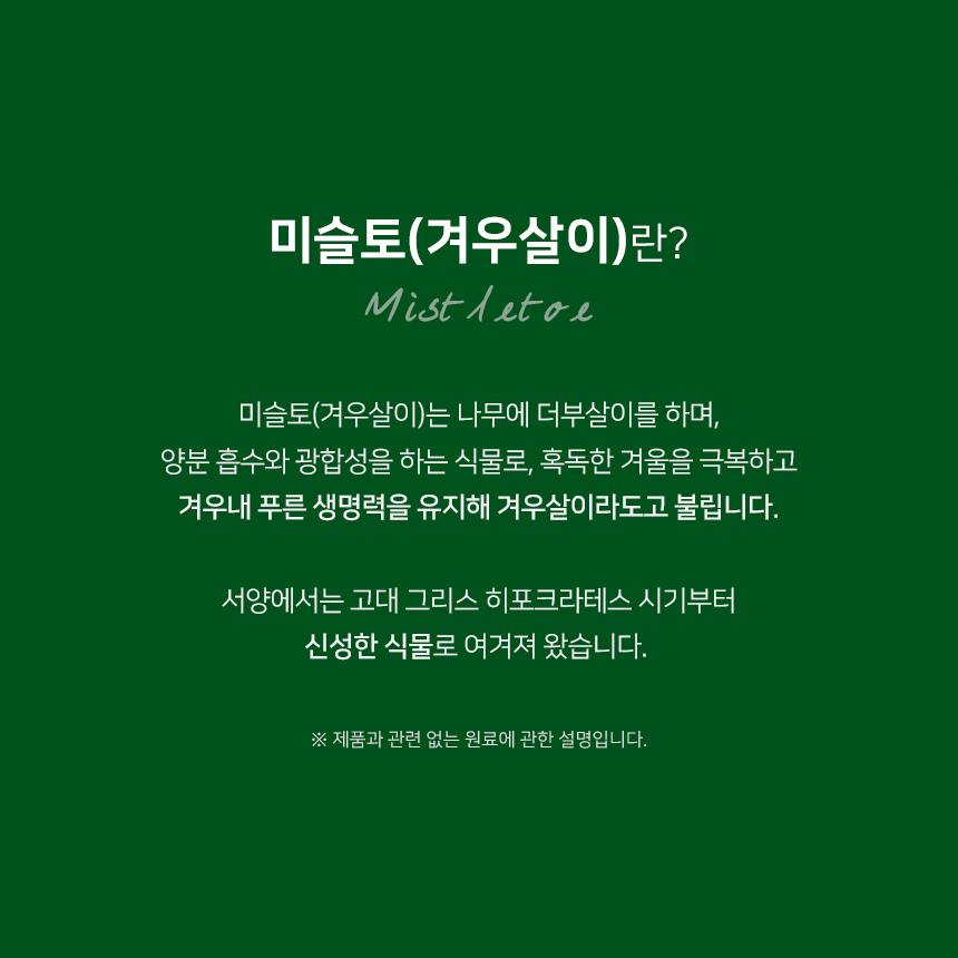 미슬토 추출물 맥스 겨우살이 국내산 100% 참나무 미슬토렉틴 ML 함유 정 - 상세 이미지 5