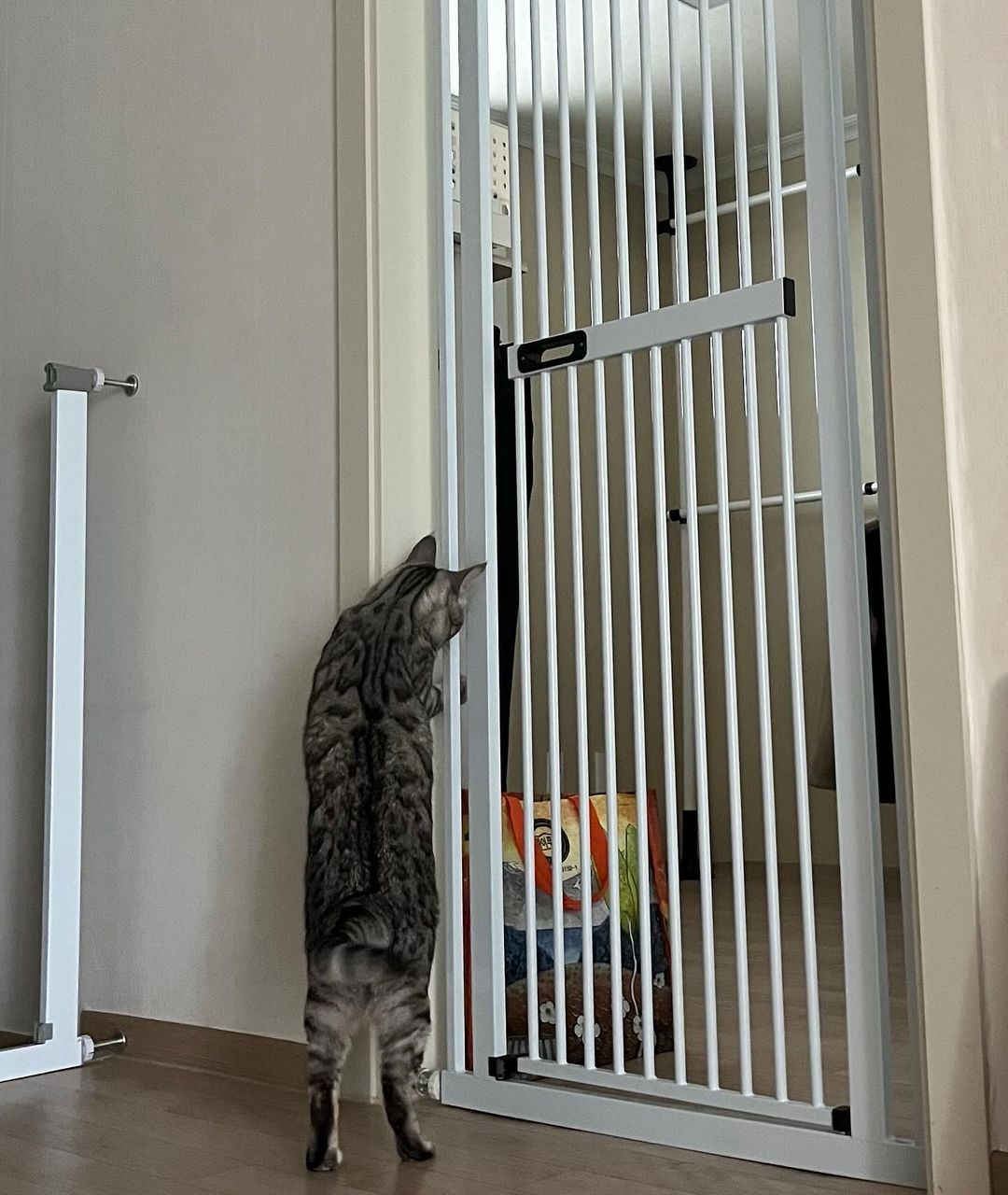 아토주 가두리 150cm 180cm 대형 고양이 방묘문 방묘창 애견 안전문 견 펫 캣 도어