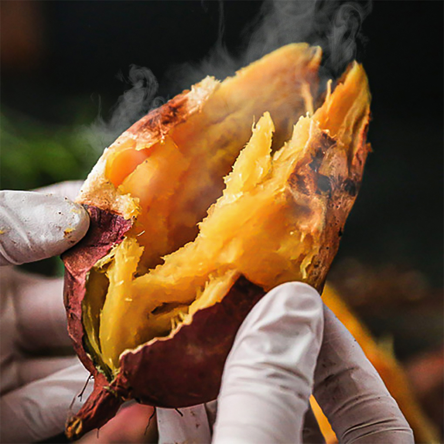 꿀 고구마 3kg 5kg 호박고구마 베니하루카