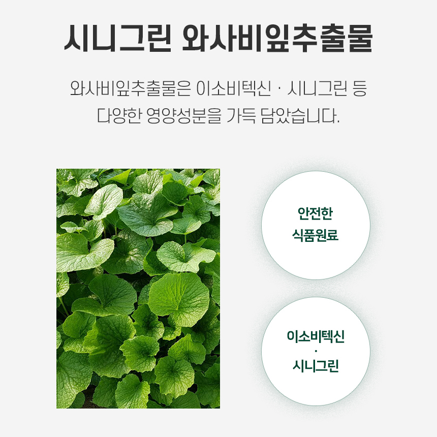 국내산 와사비잎 추출물 분말 99% 함유 가루 효능 식약처 HACCP 2통 - 상세 이미지 5