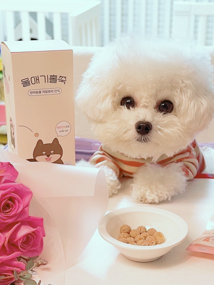디어랩스 강아지 트릿 북어트릿 울애기홀쭉 야채간식 50g 2통