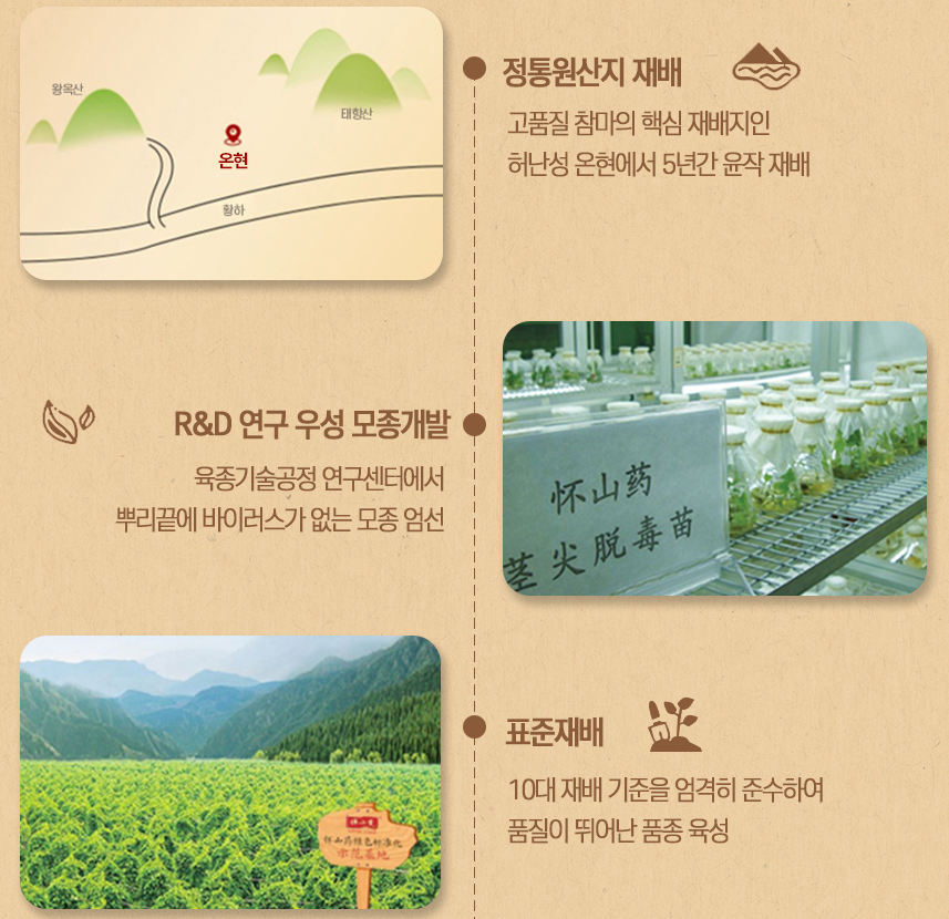 참마가루 마가루 아침식사대용 마분말 5년숙성 스틱형 12g 10개 - 상세 이미지 5