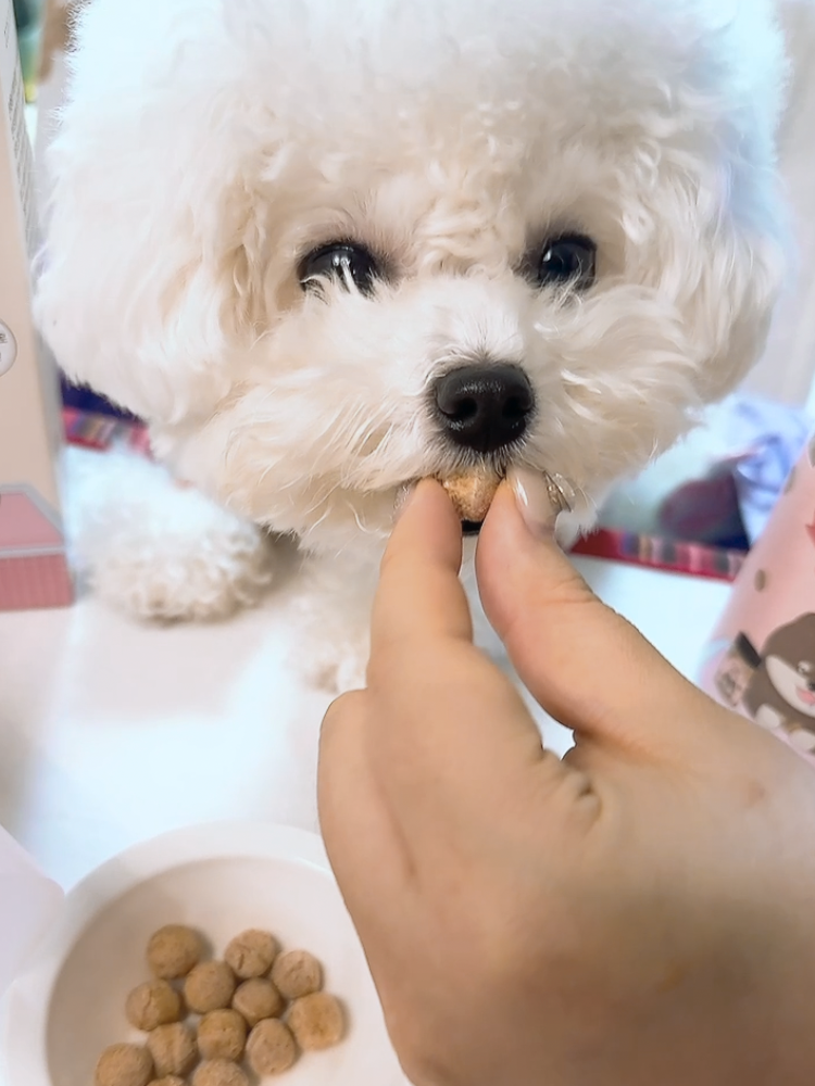 디어랩스 강아지 트릿 북어트릿 울애기홀쭉 야채간식 50g 2통