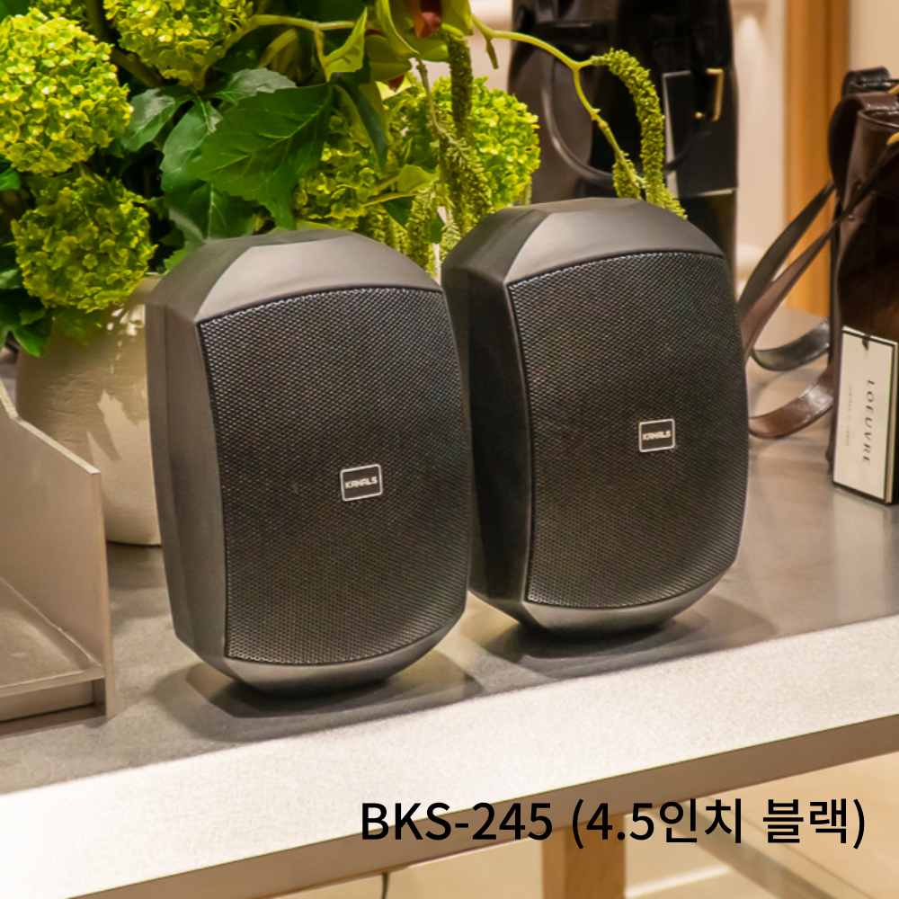 매장용 카날스 카페스피커 벽걸이 북쉘프 앰프 세트 이미지 3