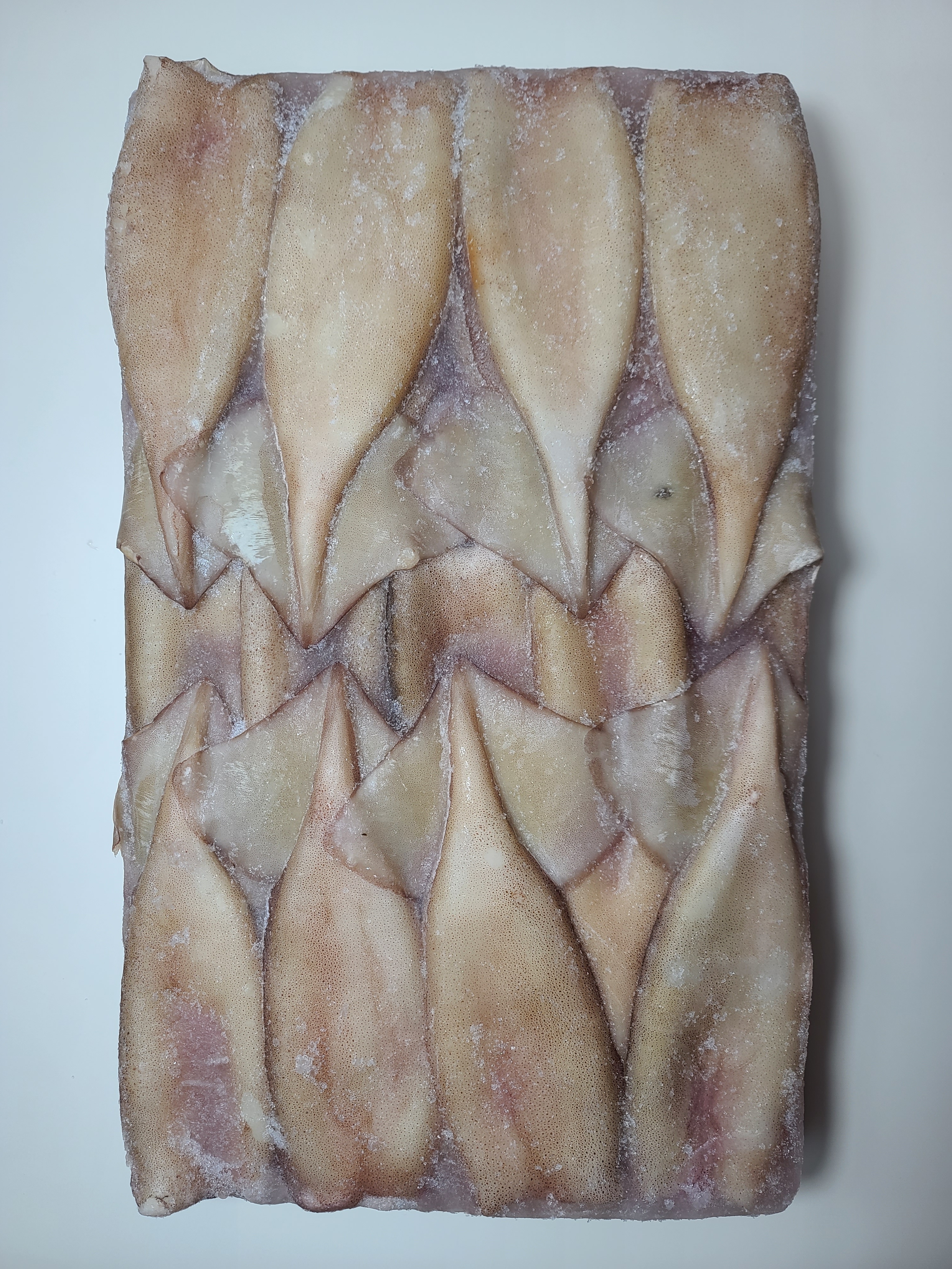 냉동 손질오징어 몸통10kg 선동 튜브 포크오징어 튜브오징어 120/150