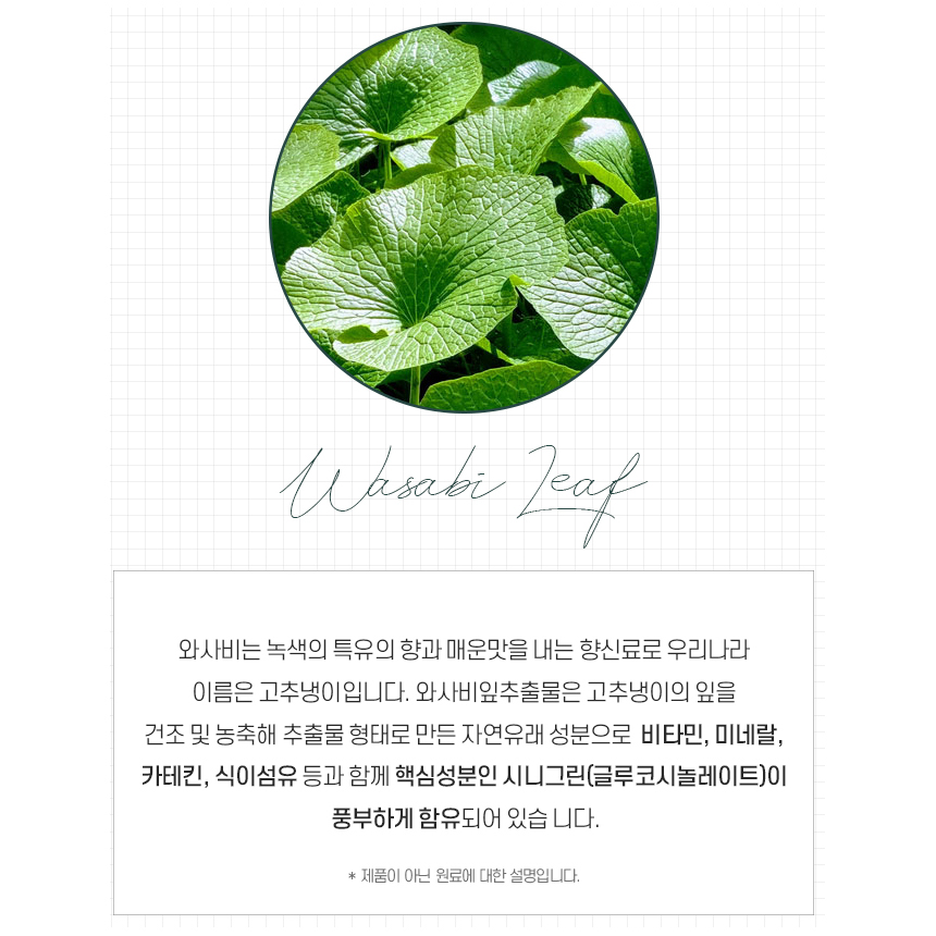 국산 와사비잎 추출물 분말 정 식약처 HACCP 2박스 2개월분 - 상세 이미지 5