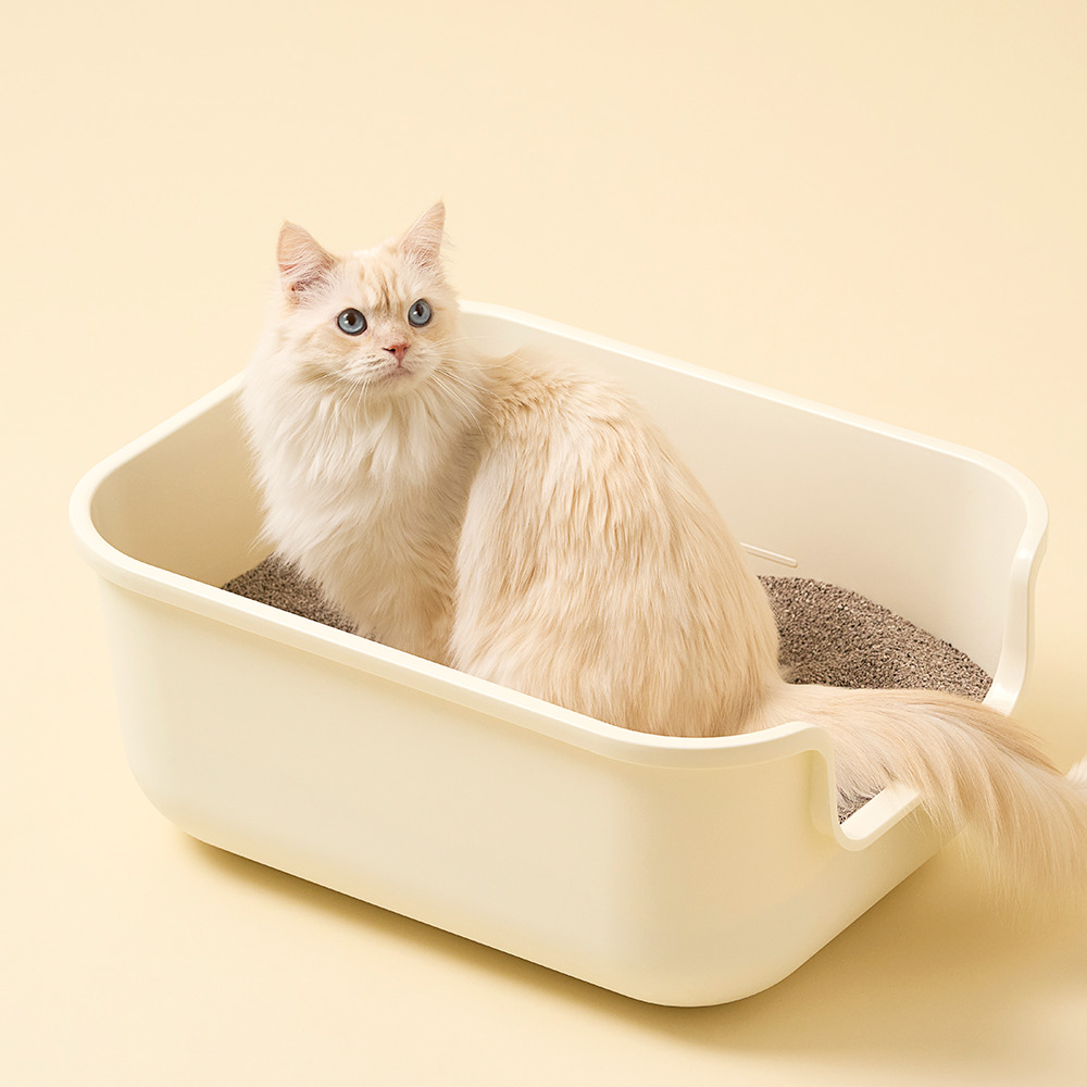 7CATS 싸냥 프리미엄 벤토나이트 고양이 모래 무향 1.5mm 12kg, 18kg - 상세 이미지 3