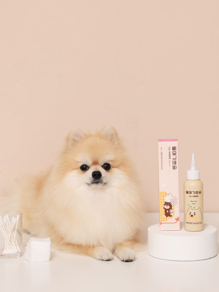 디어랩스 강아지 귀세정제 울애기뽀송 강아지 귀청소 귀염증약 100ml 1통 - 상세 이미지 3