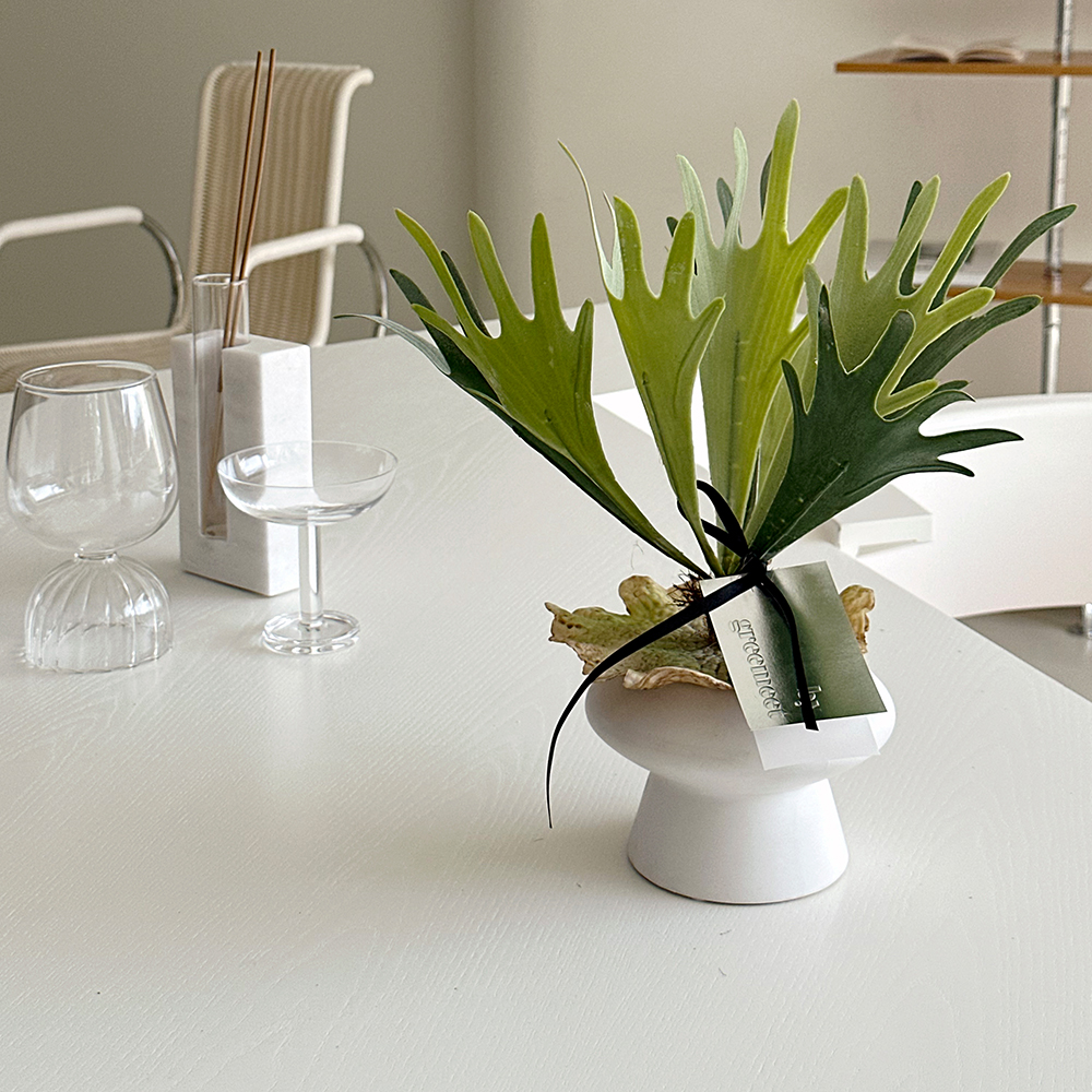 그리밋 박쥐란 미니 화분 세트 인조식물 생화같은 조화 리얼플랜트 - 상세 이미지 2