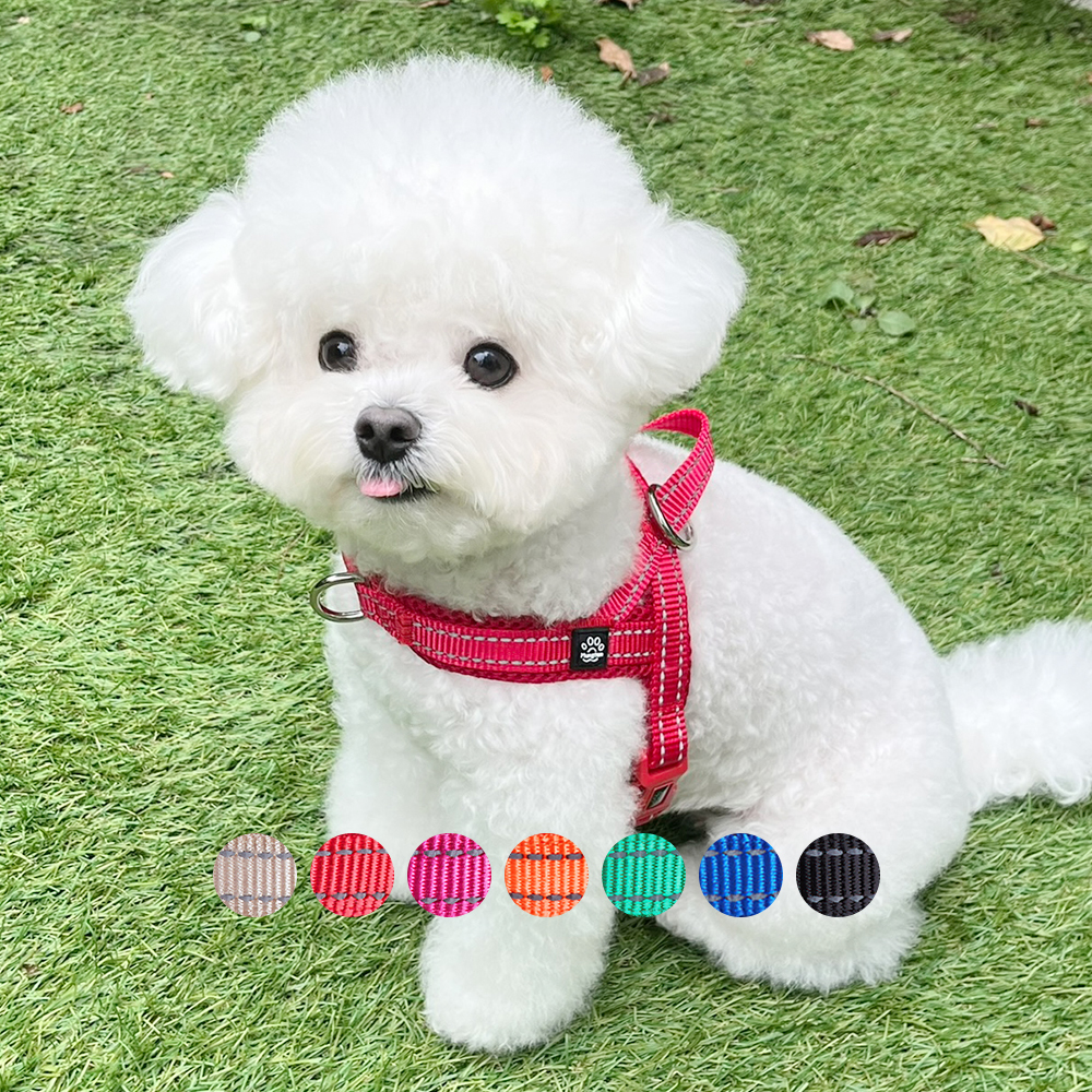 강아지 하네스 앞섬방지 앞고리 가슴줄 XXS 소형견