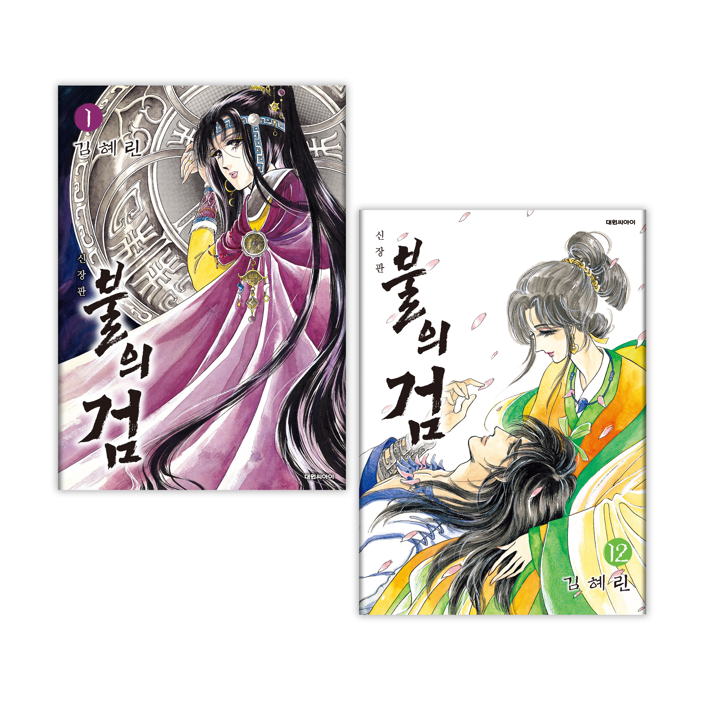 (대원씨아이) 불의 검 신장판 1-12권 재정가 세트 제품 이미지