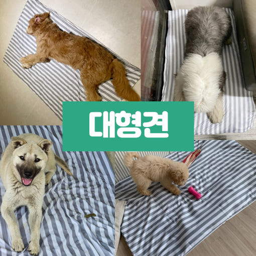 thumbnail-7