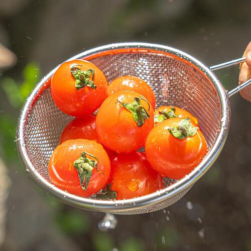 스노우라인 시에라메쉬 300ml 캠핑 차박 접시 그릇 스테인레스 컵