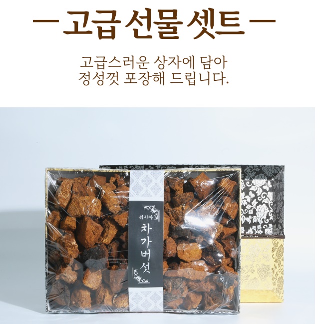 러시아 차가버섯 선물세트 1kg 시베리아 차가버섯 원물 이미지 3
