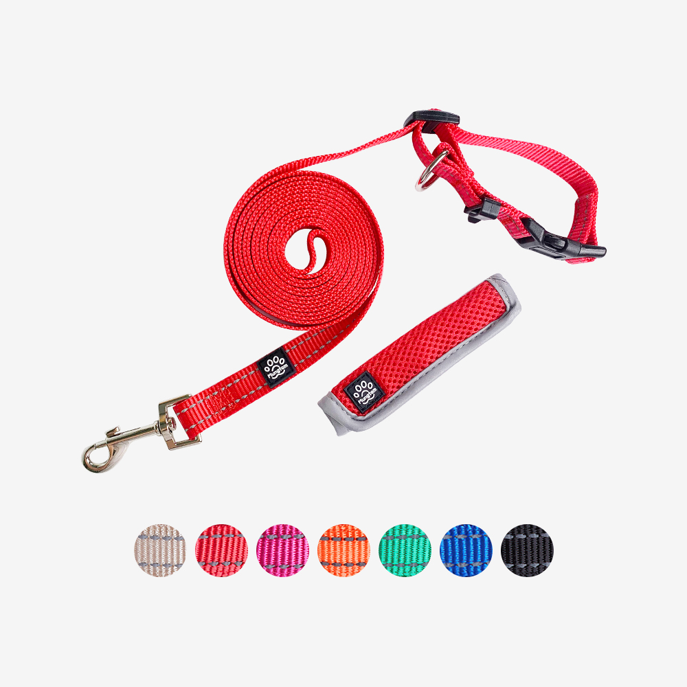 강아지 리드줄 핸즈프리 산책줄 3미터 어깨 허리 S