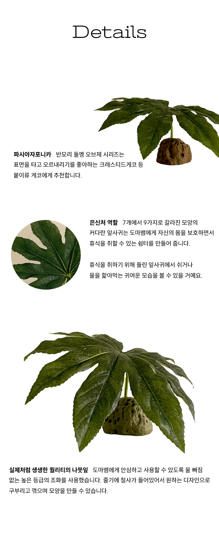 반모리-자체제작-돌멩이오브제-파시아자포니카특징.png