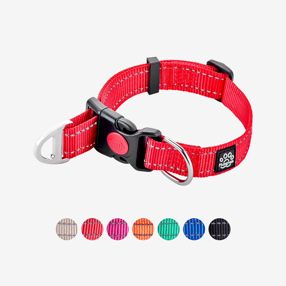 마틴게일 목줄 강아지 반초크 소형견 훈련용 멀티 마팅게일 XS 이미지 3