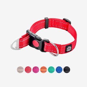 마틴게일 목줄 강아지 반초크 소형견 훈련용 멀티 마팅게일 XS 솔직 후기 | 실제 사용자 리뷰 총정리 - 상품 이미지 3