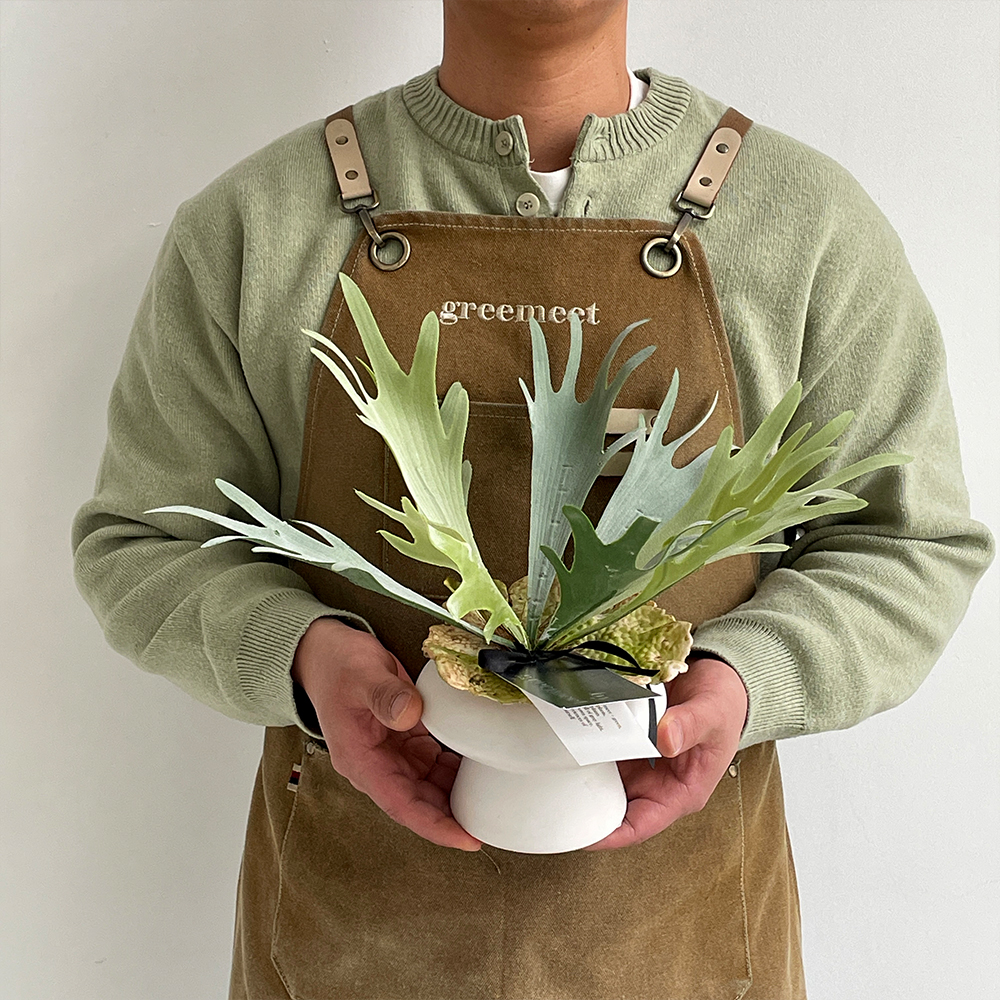 그리밋 박쥐란 미니 화분 세트 인조식물 생화같은 조화 리얼플랜트 - 상세 이미지 5