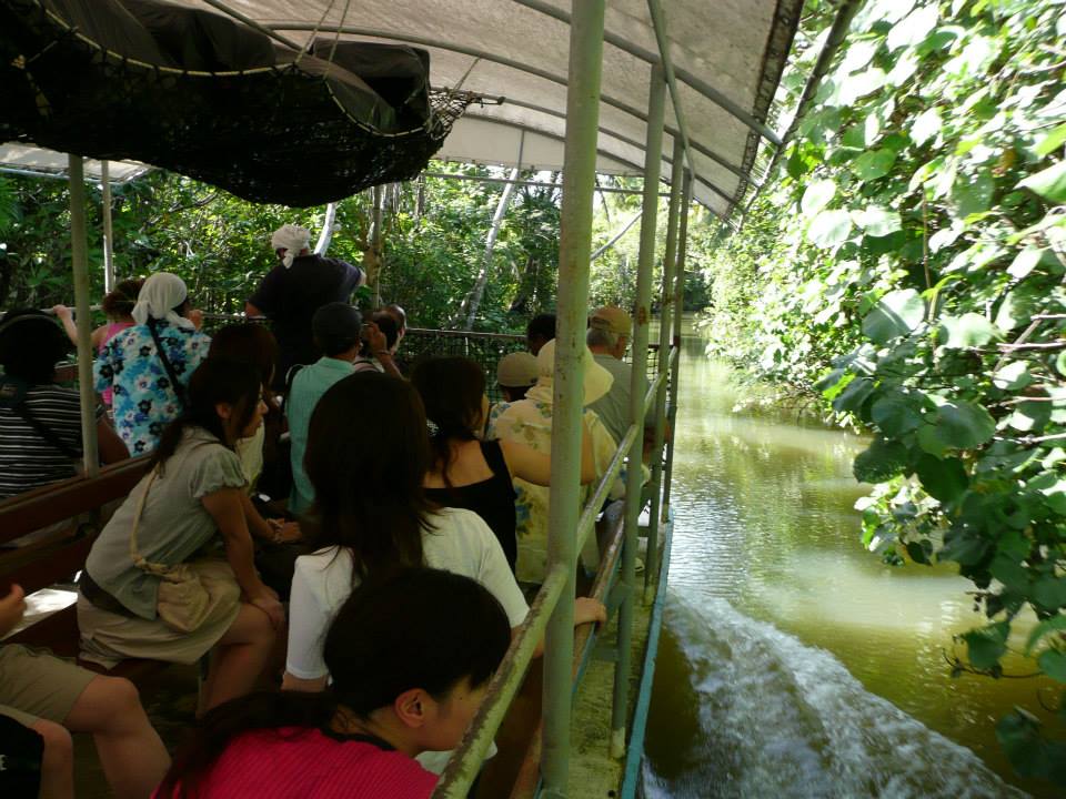 괌 탈로포포 리버 정글 어드벤쳐 크루즈/Talofofo River Jungle Cruise - 상세 이미지 2