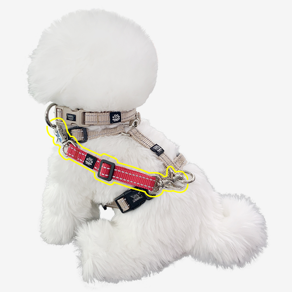 강아지 리드줄 탈출방지 안전줄 하네스 목줄 풀림방지 연결줄 안전벨트