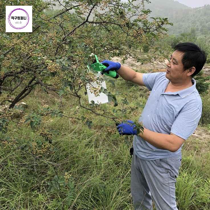전동 휴대용 공구 따는 충전식 산초 기계 - 상세 이미지 4