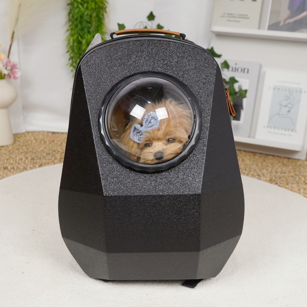 개과천선 나이비 강아지 백팩 이동가방 애견 이동장 고양이 산책 투명창 배낭 하드 캐리어