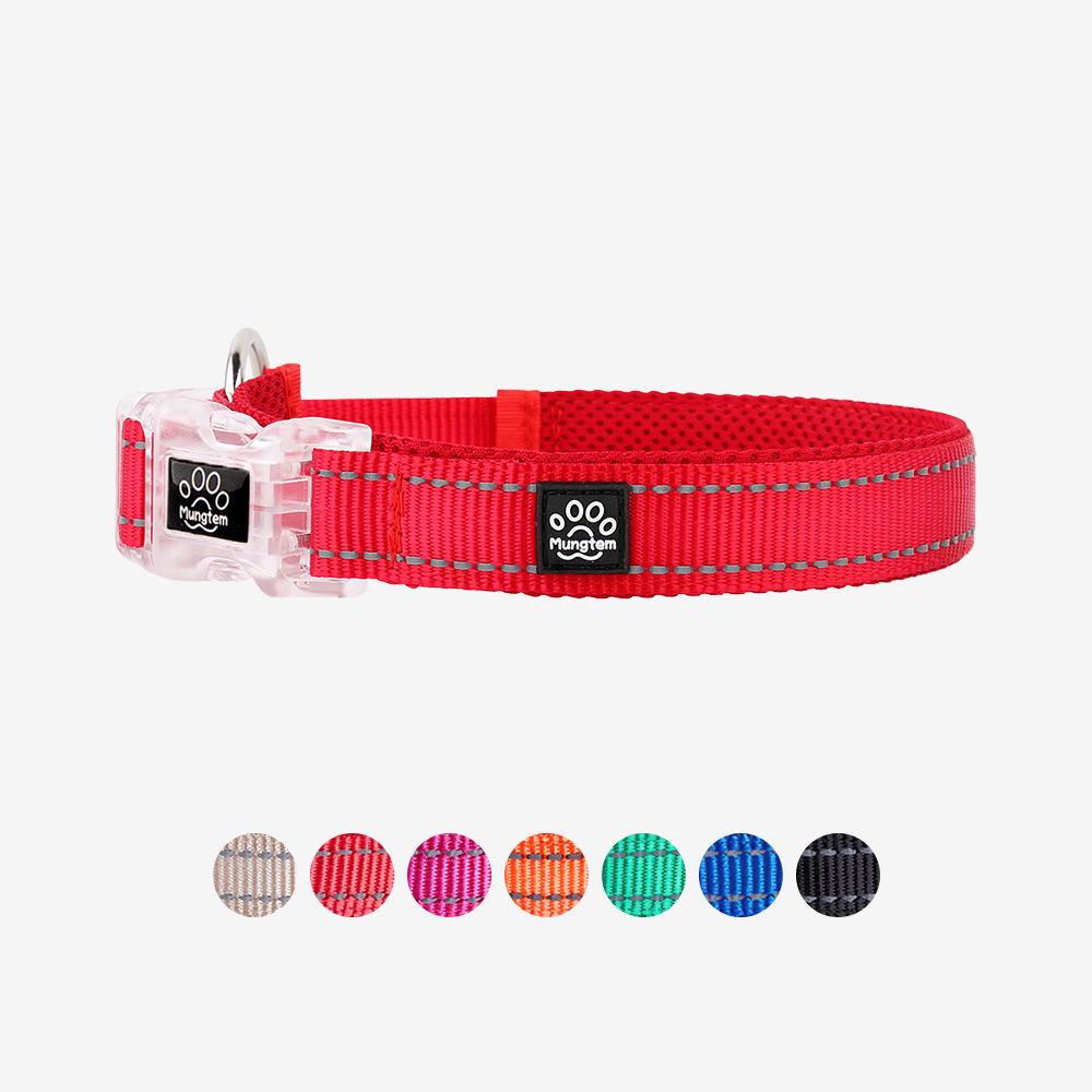 강아지 목줄 메쉬 소형견 XXS 이미지 2