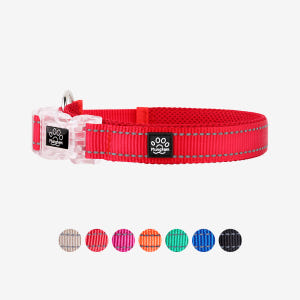 강아지 목줄 메쉬 소형견 XXS 솔직 후기 | 실제 사용자 리뷰 총정리 - 상품 이미지 2