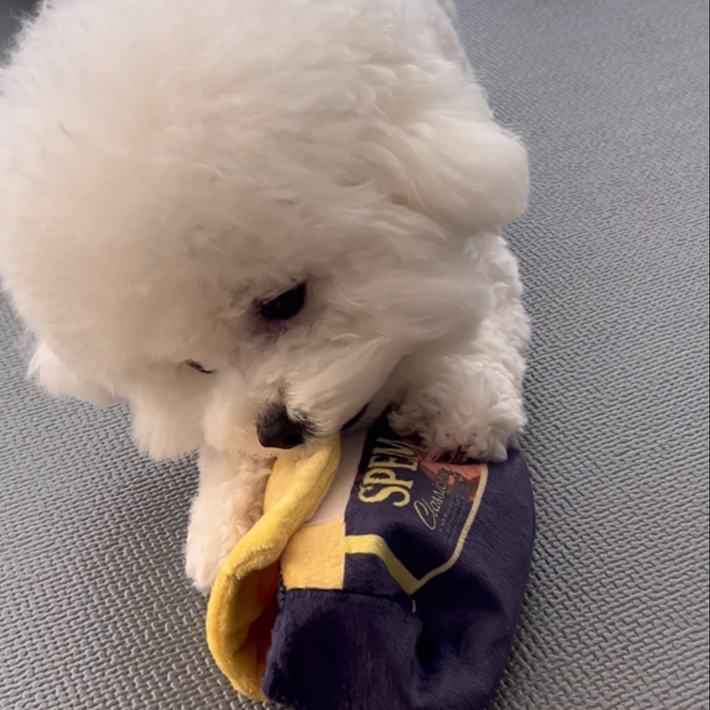 강아지 노즈워크 장난감 뉴포테이토 오래노는 분리불안